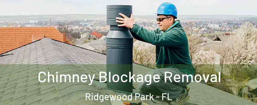 Chimney Blockage Removal Ridgewood Park - FL
