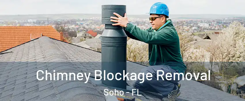 Chimney Blockage Removal Soho - FL