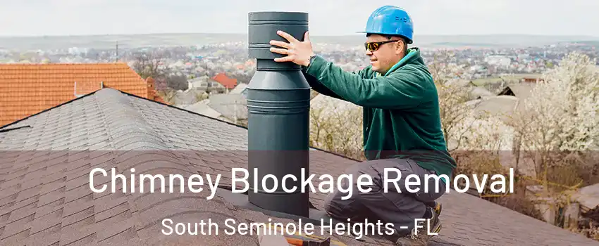 Chimney Blockage Removal South Seminole Heights - FL