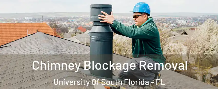 Chimney Blockage Removal University Of South Florida - FL