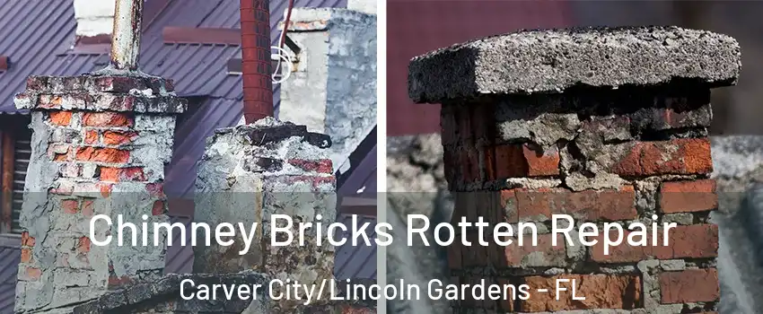 Chimney Bricks Rotten Repair Carver City/Lincoln Gardens - FL