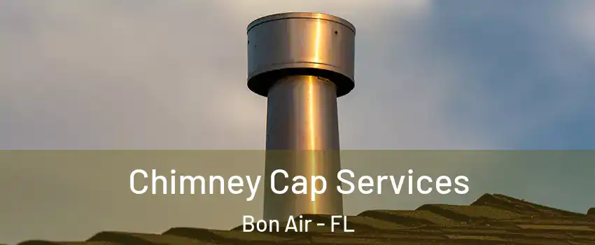 Chimney Cap Services Bon Air - FL