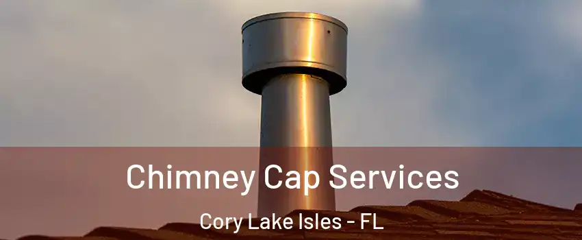 Chimney Cap Services Cory Lake Isles - FL