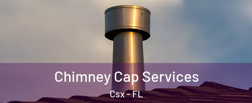 Chimney Cap Services Csx - FL