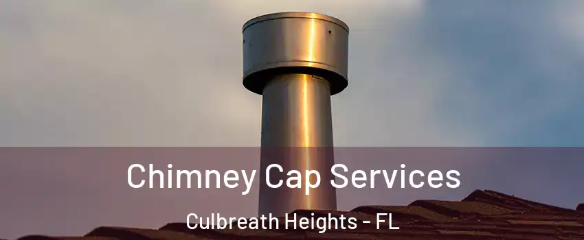Chimney Cap Services Culbreath Heights - FL