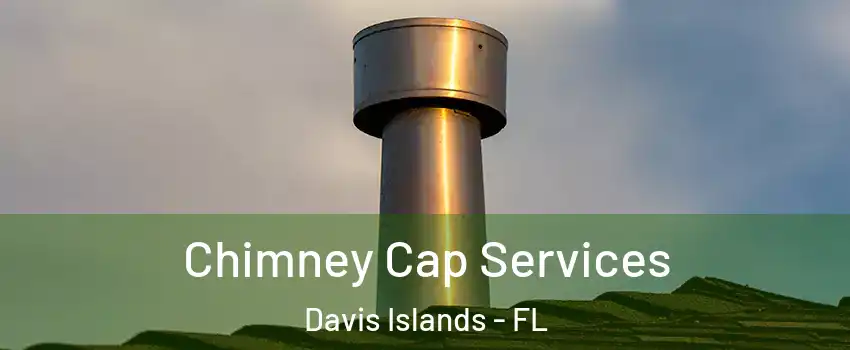 Chimney Cap Services Davis Islands - FL