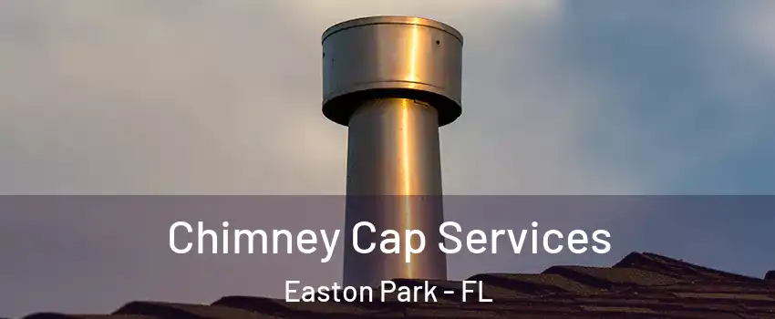 Chimney Cap Services Easton Park - FL
