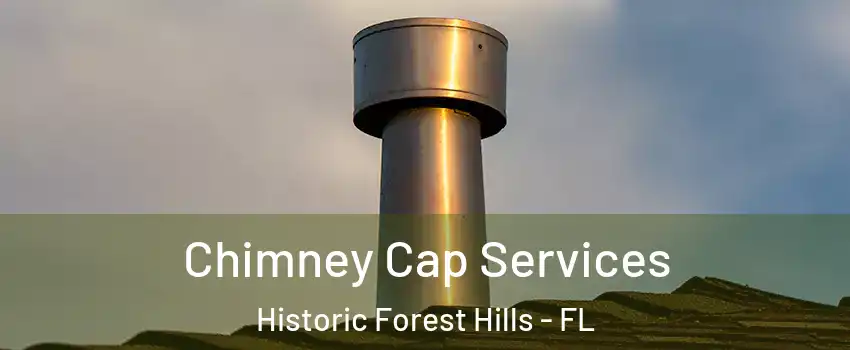 Chimney Cap Services Historic Forest Hills - FL