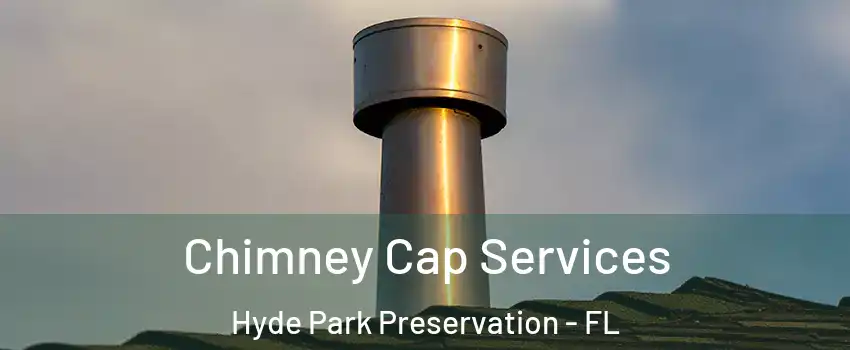 Chimney Cap Services Hyde Park Preservation - FL
