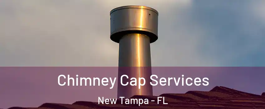 Chimney Cap Services New Tampa - FL