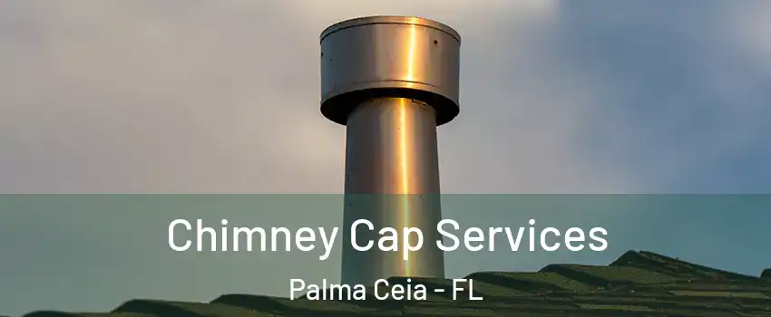 Chimney Cap Services Palma Ceia - FL