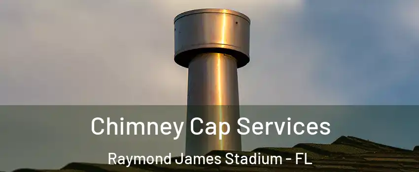 Chimney Cap Services Raymond James Stadium - FL