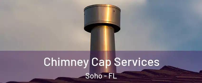 Chimney Cap Services Soho - FL