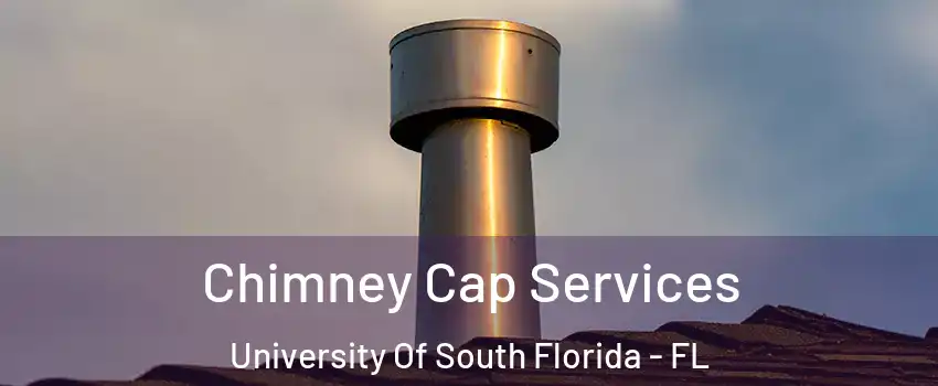 Chimney Cap Services University Of South Florida - FL
