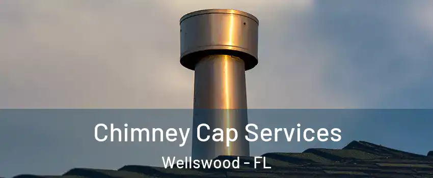 Chimney Cap Services Wellswood - FL
