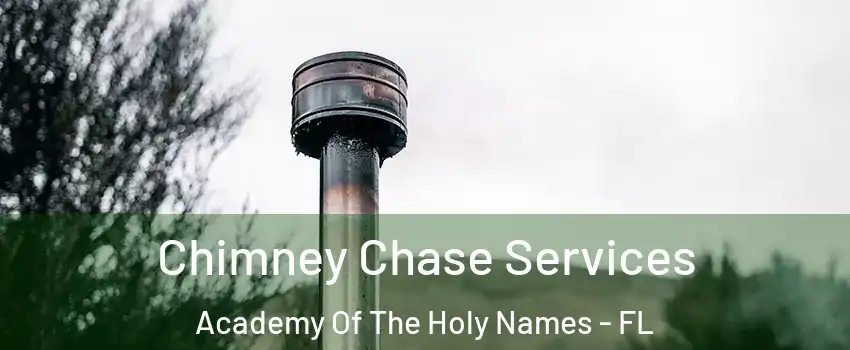 Chimney Chase Services Academy Of The Holy Names - FL