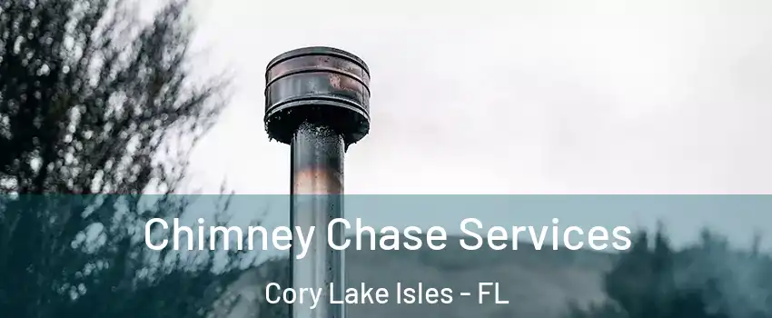 Chimney Chase Services Cory Lake Isles - FL