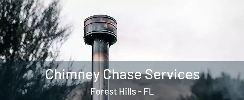 Chimney Chase Services Forest Hills - FL