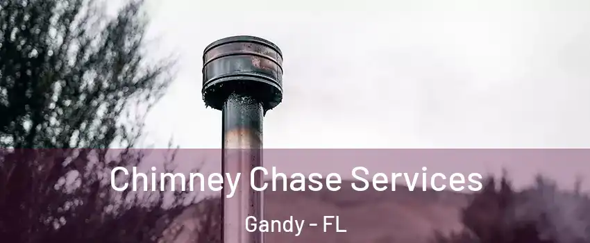 Chimney Chase Services Gandy - FL