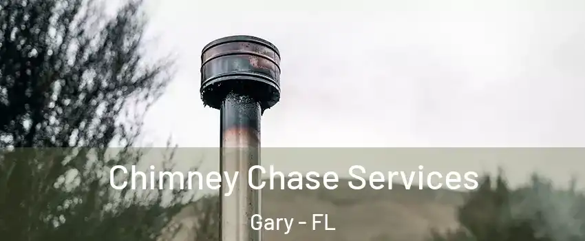 Chimney Chase Services Gary - FL
