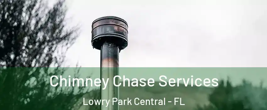 Chimney Chase Services Lowry Park Central - FL