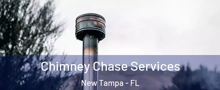 Chimney Chase Services New Tampa - FL