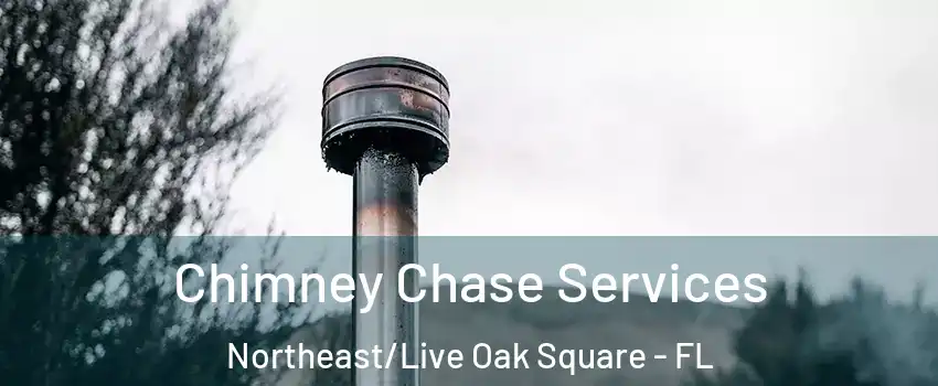 Chimney Chase Services Northeast/Live Oak Square - FL