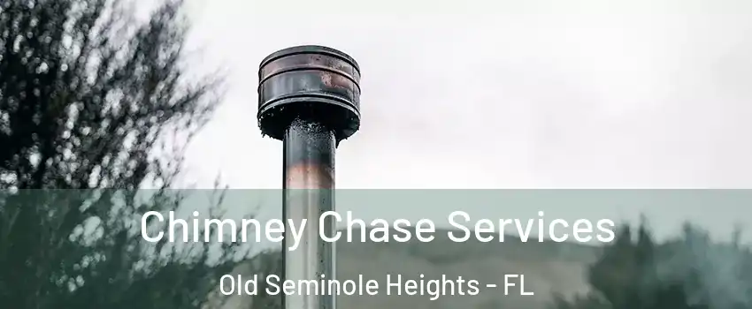 Chimney Chase Services Old Seminole Heights - FL