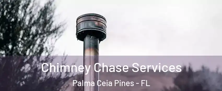 Chimney Chase Services Palma Ceia Pines - FL