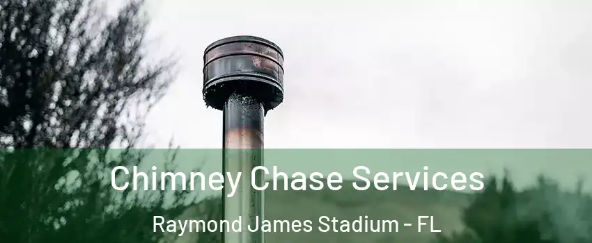 Chimney Chase Services Raymond James Stadium - FL