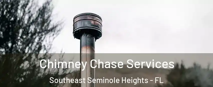 Chimney Chase Services Southeast Seminole Heights - FL