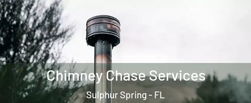 Chimney Chase Services Sulphur Spring - FL