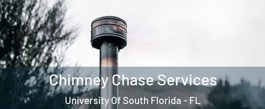 Chimney Chase Services University Of South Florida - FL