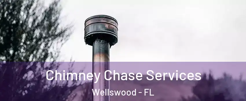 Chimney Chase Services Wellswood - FL