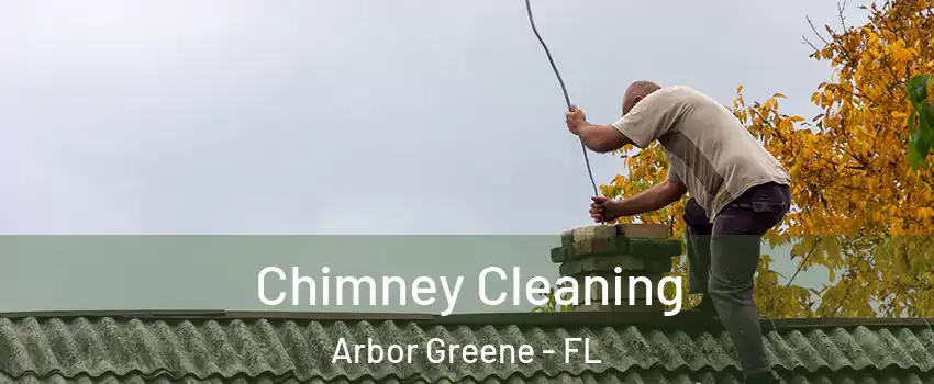 Chimney Cleaning Arbor Greene - FL