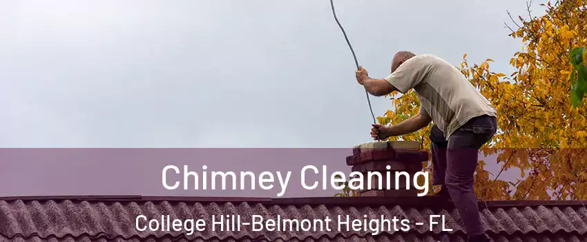 Chimney Cleaning College Hill-Belmont Heights - FL