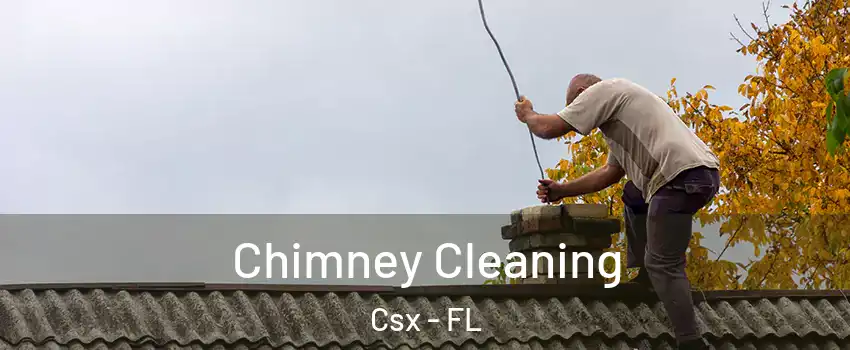 Chimney Cleaning Csx - FL