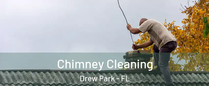 Chimney Cleaning Drew Park - FL