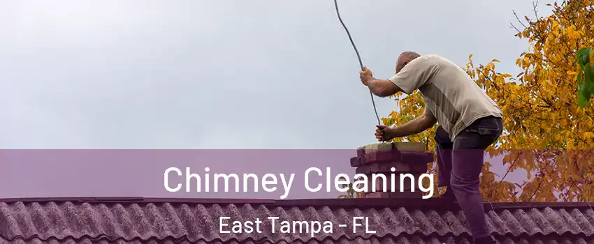 Chimney Cleaning East Tampa - FL