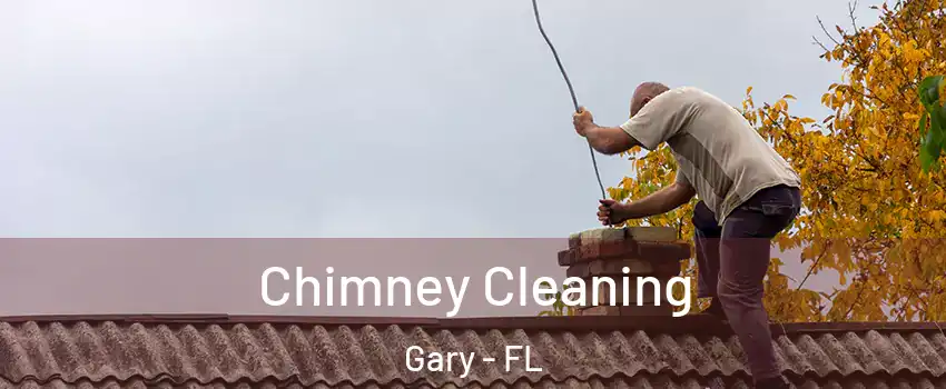 Chimney Cleaning Gary - FL