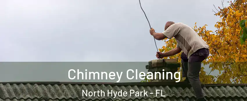 Chimney Cleaning North Hyde Park - FL