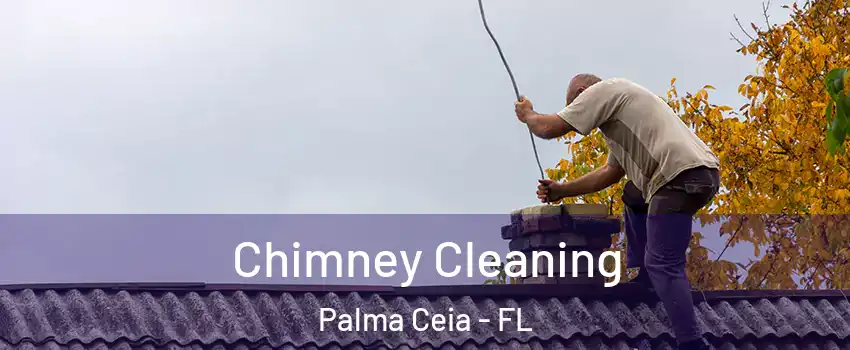 Chimney Cleaning Palma Ceia - FL