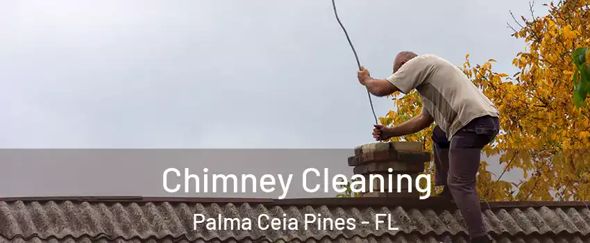 Chimney Cleaning Palma Ceia Pines - FL