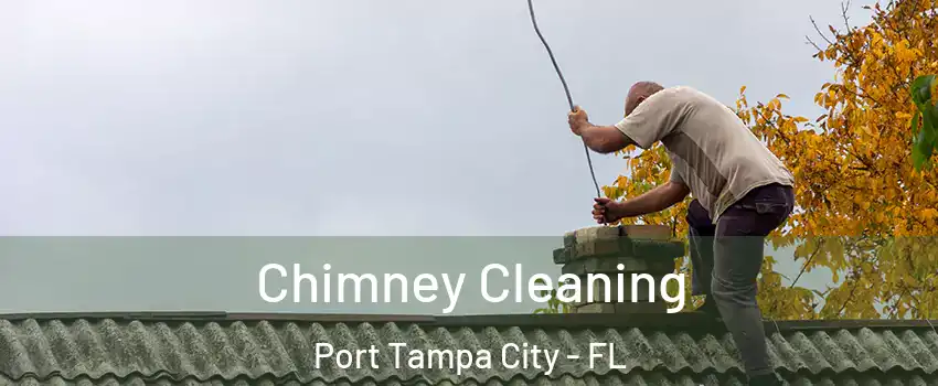 Chimney Cleaning Port Tampa City - FL