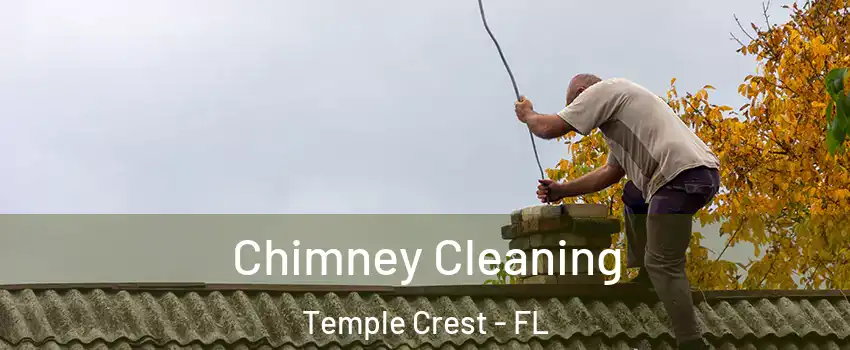 Chimney Cleaning Temple Crest - FL