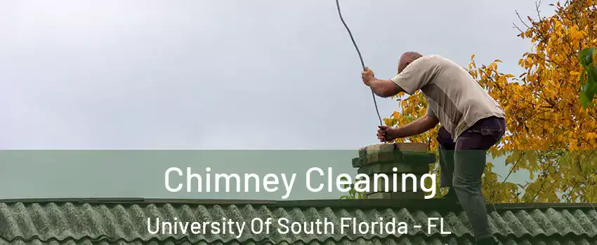 Chimney Cleaning University Of South Florida - FL