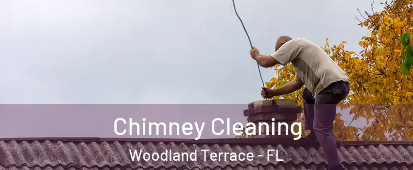 Chimney Cleaning Woodland Terrace - FL