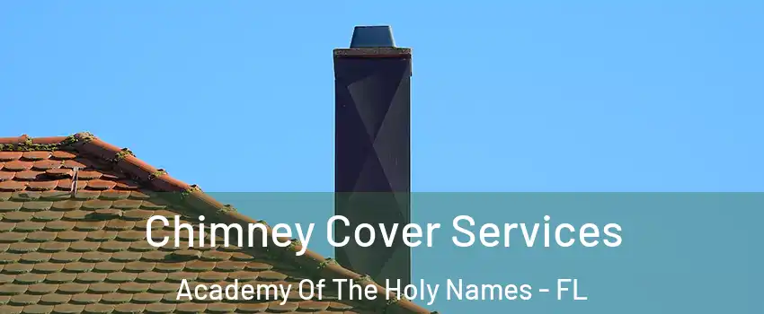 Chimney Cover Services Academy Of The Holy Names - FL