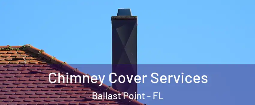 Chimney Cover Services Ballast Point - FL