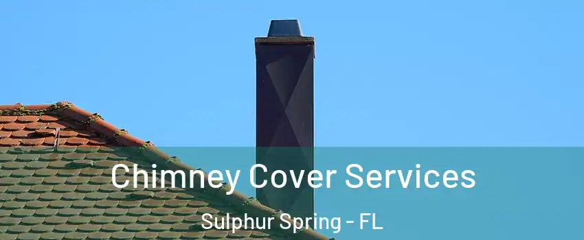 Chimney Cover Services Sulphur Spring - FL